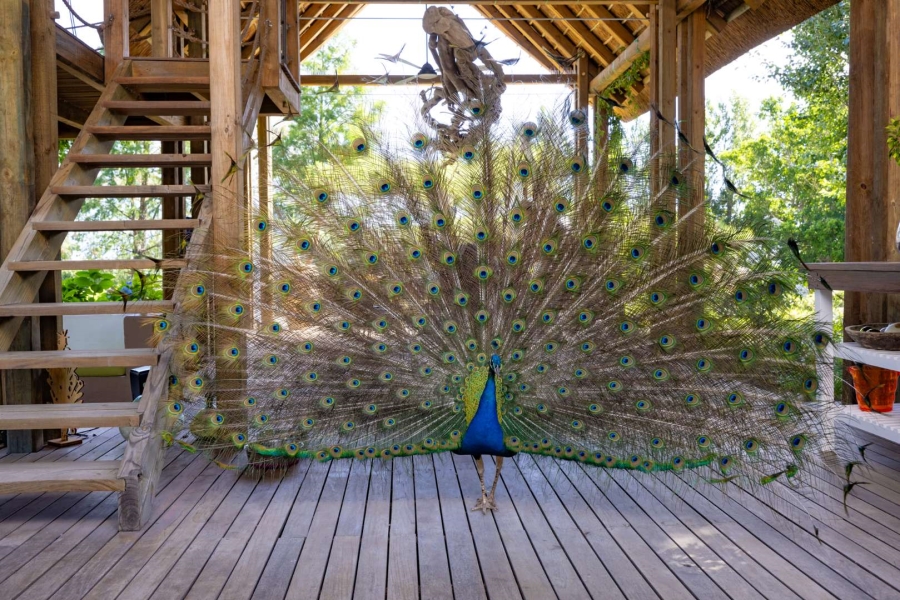 6 Bedroom Property for Sale in Klein Parys Western Cape